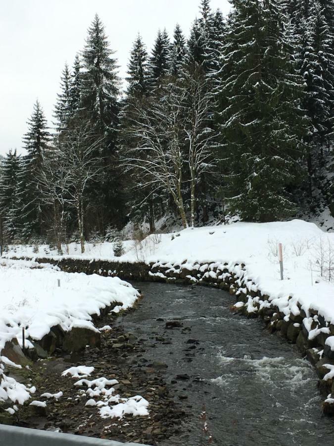 Haus Georgenhoehe Wildemann Dış mekan fotoğraf